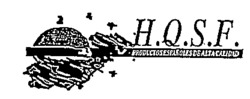 H.Q.S.F.