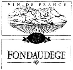 VIN DE FRANCE FONDAUDEGE