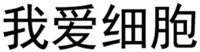  WO AI XI BAO 