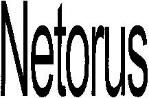 Netorus