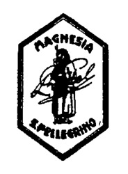 MAGNESIA S.PELLEGRINO