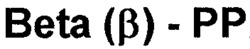 Beta (ß) - PP