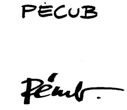 PÉCUB
