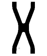 X