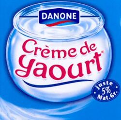 DANONE Crème de yaourt