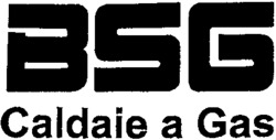 BSG Caldaie a Gas