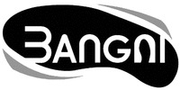 3ANGNI