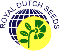 ROYAL DUTCH SEEDS