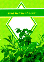 Bad Reichenhaller
