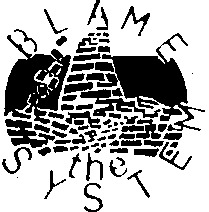 BLAME the SYSTEM
