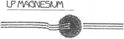 LP MAGNESIUM