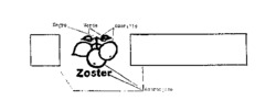 Zoster