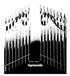 l'apricancello