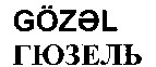 GOZEL.
