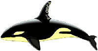 PC ORCA