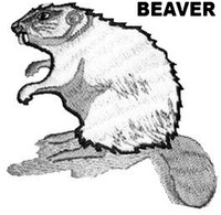 BEAVER