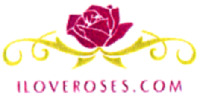 ILOVEROSES.COM