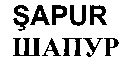 SAPUR