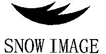 SNOW IMAGE