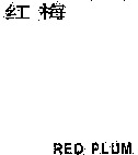 RED PLUM