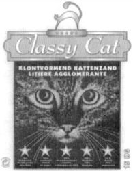 Classy Cat
