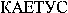CAETUS (cyrillic)
