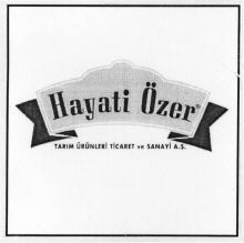 Hayati Özer