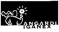 ANGARDI IGANEX