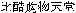 bikku kou butsu ten dou