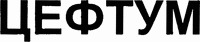  TSEFTUM. 