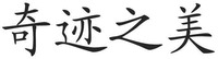 QI JI ZHI MEI