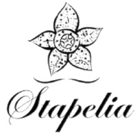 Stapelia