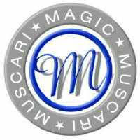 M MUSCARI MAGIC