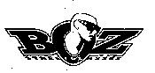 BOZ STREET GLASSES