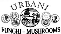 URBANI FUNGHI - MUSHROOMS