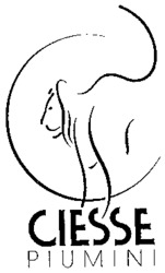CIESSE PIUMINI