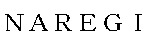 NAREGI