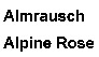Almrausch Alpine Rose