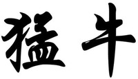  MENG NIU 