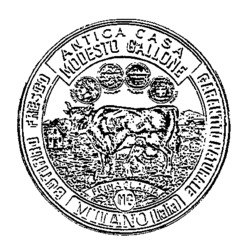 MODESTO GALLONE