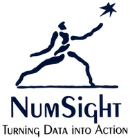 NUM SIGHT TURNING DATA INTO ACTION