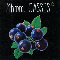 Mhmm... CASSIS