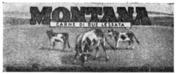 MONTANA CARNE DI BUE LESSATA