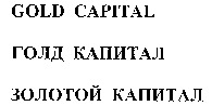 GOLD CAPITAL