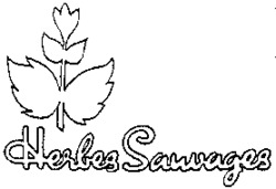 Herbes Sauvages