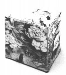 PIVOINE