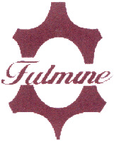 Fulmine