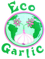 Eco Garlic
