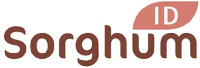 ID Sorghum