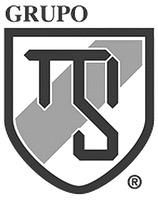 GRUPO MSI